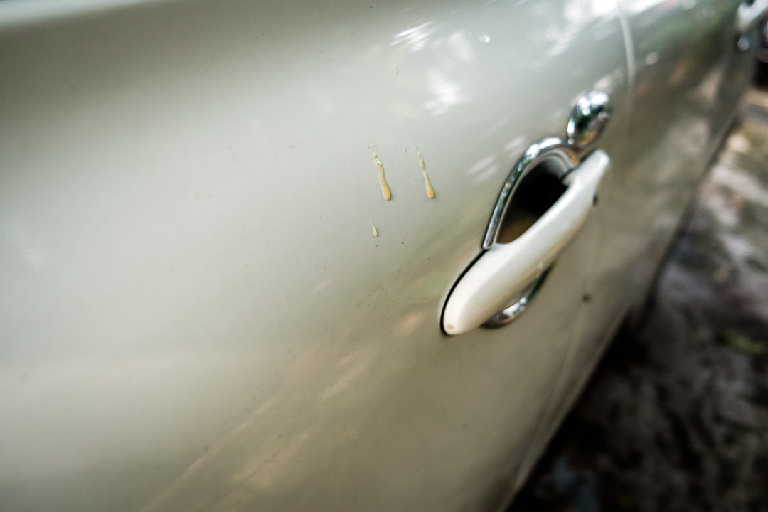 How to Remove Tree Sap from car without damaging the paint